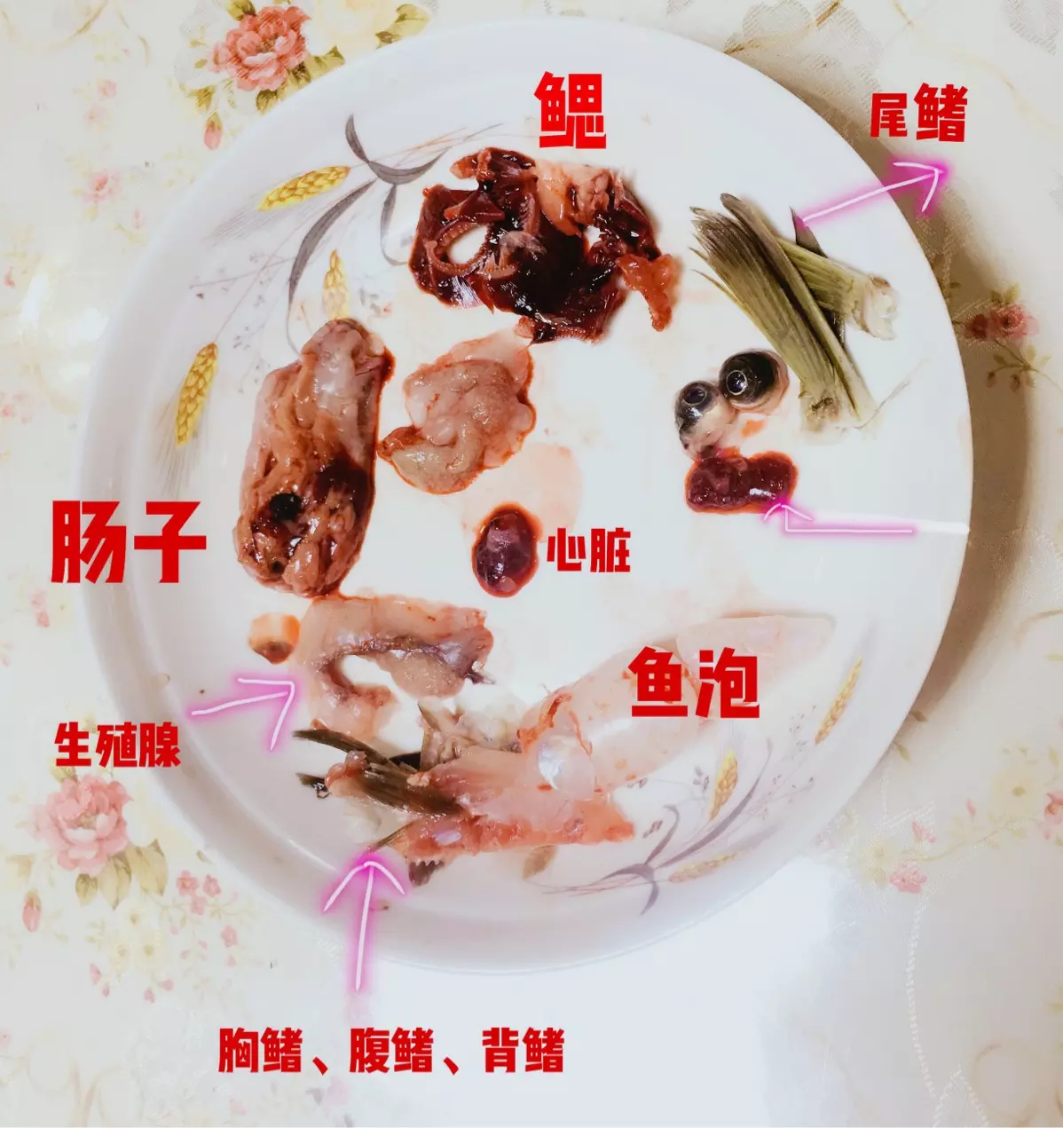 夏日欲擇食是什麼屬相：夏日欲擇食，急趕赴考去，猜一生肖