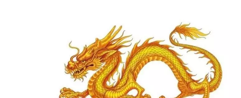 2、龍不能和哪種屬相婚配:屬相婚配：男屬龍和女屬兔相配嗎