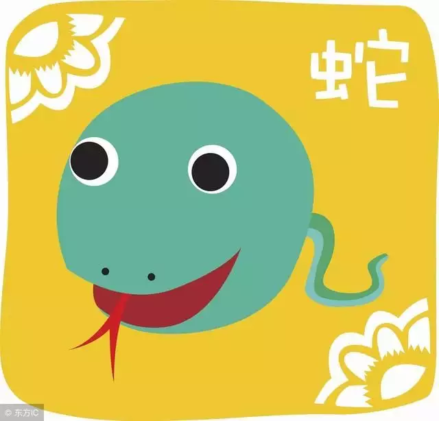 5、腦子最笨的3個生肖:十二生肖里，哪幾個個生肖最笨？