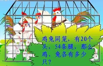 兔爸雞媽生個什麼屬相好：屬兔和屬雞生個什麼孩子好