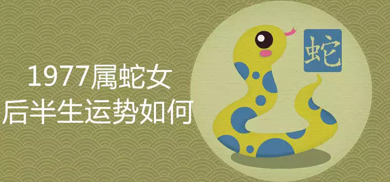 4、蛇女的後半生感情:屬蛇女的後半生婚姻如何