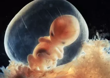 孕期物看男孩女孩：孕早期褐色物是懷男孩嗎?