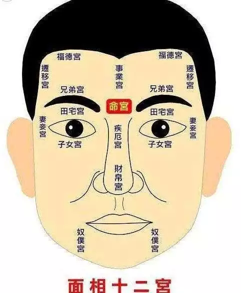 屬相俗語順口溜大全：常用日常俗語