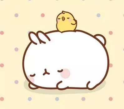 10、持之以恆到底是什麼生肖:持之以恆是什麼動物啊?