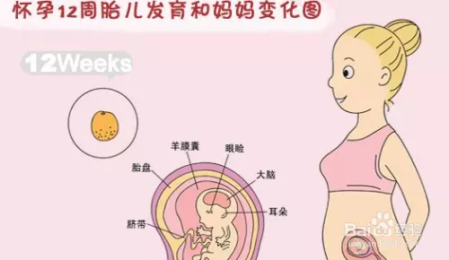 5、怎麼才能生兒子幾率高:怎麼樣才能生兒子幾率大