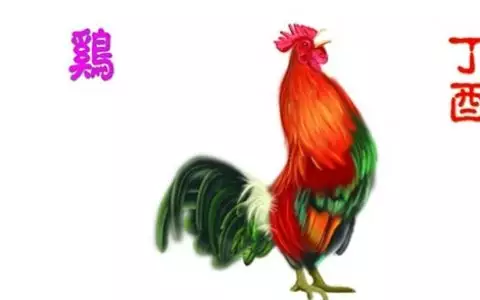 3、12生肖算命婚姻配對:最準的12生肖配對錶？