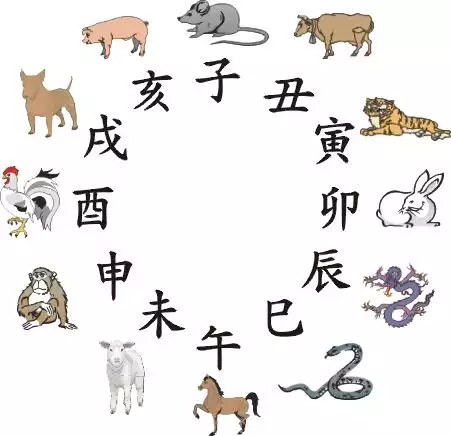 與生肖兔相配相忌的屬相大揭秘：屬兔的忌配什麼屬相