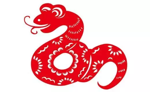 2、屬蛇的和屬蛇的婚配合財嗎:屬蛇與什麼屬相合財