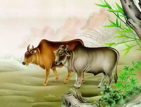 年今年的財運好不好：73年的牛今年的財運怎樣， 幸福嗎？