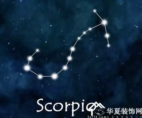 屬雞的天蠍男和什麼屬相最配：屬雞的天蠍座和什麼屬相配