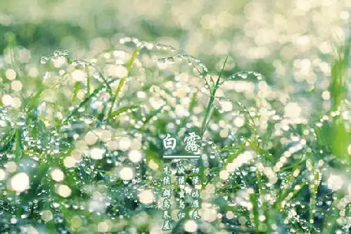 1、初露鋒芒代表什麼生肖:初露鋒芒猜什麼生肖