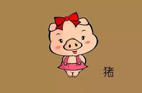 1、哪兩個生肖不能做夫妻:牛和什麼屬相不能做配偶
