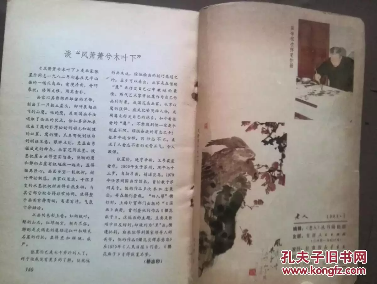 1、年女和年男婚配嗎:年屬豬男和年屬鼠女的配嗎