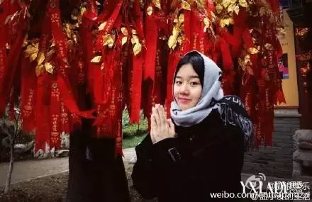 年出生的人姻緣如何：年男和年女姻緣咋樣，誰能說說