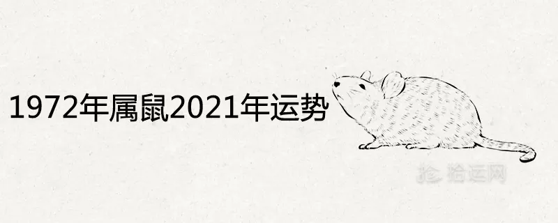 3、屬鼠的年全年運勢:年屬鼠人的全年運勢出生