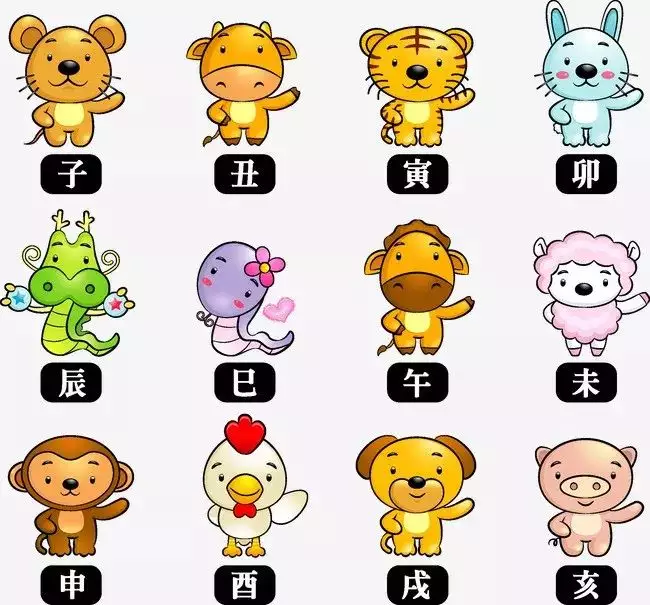 怎樣知道了屬相就能算出歲數：憑證出生歲數怎樣算出屬相呢