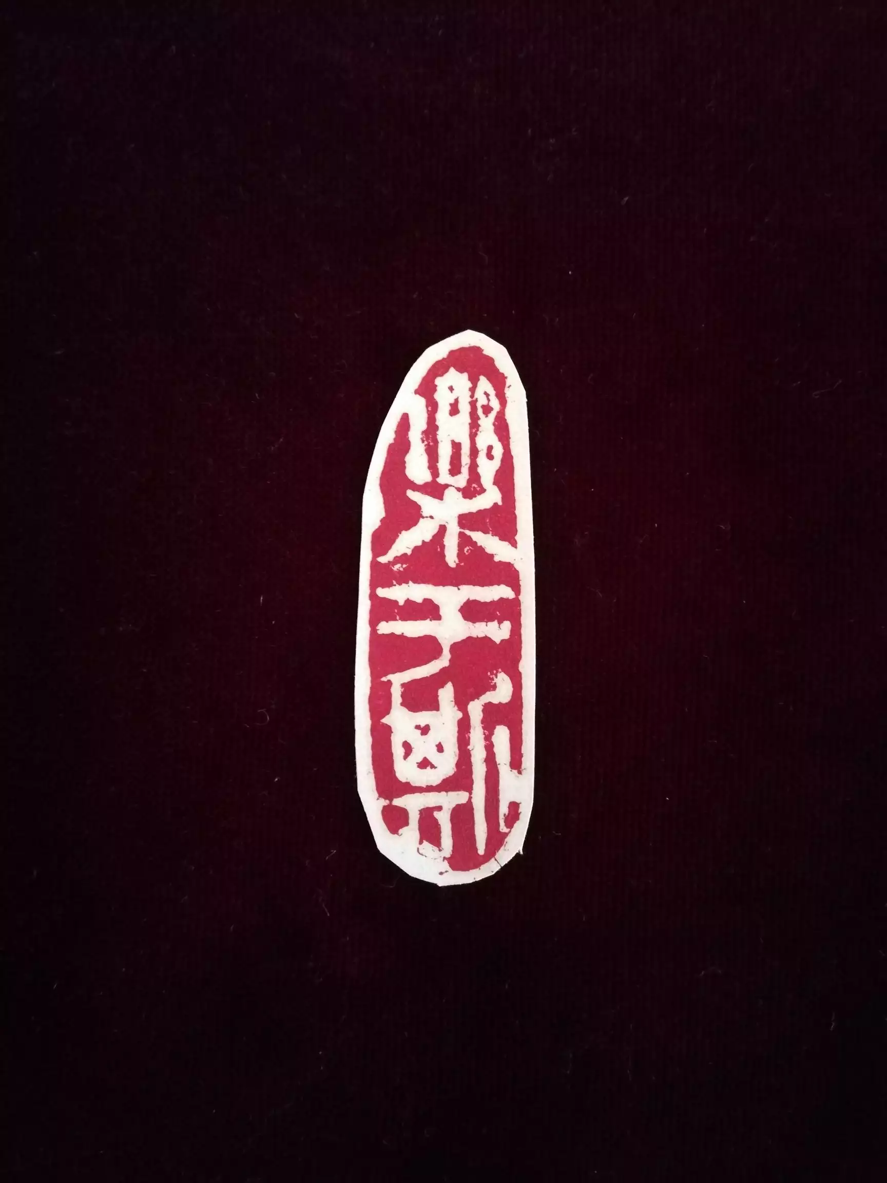 一母九子十二生肖屬相：一母九子十二生肖