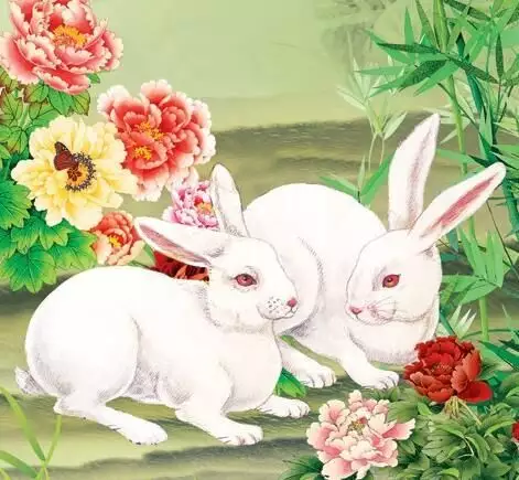 怙恃屬兔和蛇生孩子什麼屬相好：男子屬兔女的屬蛇生什麼屬相孩子好