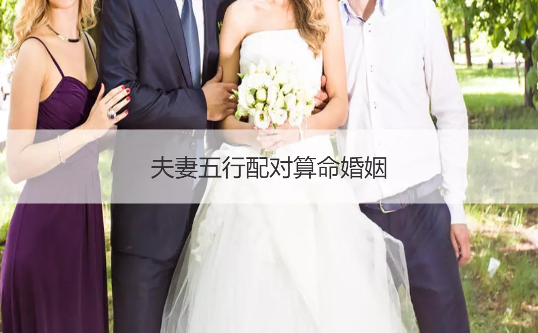 1、水命和水命的婚配屬相:水命和什麼命搭配好