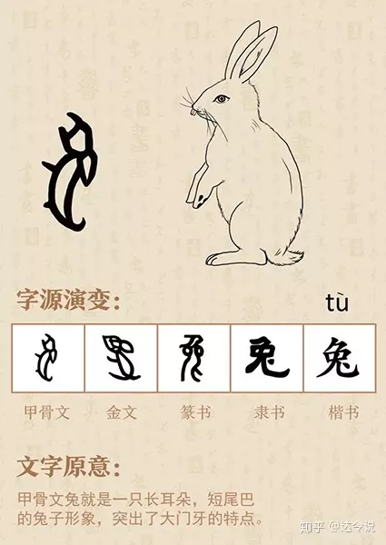 2、62女虎和63男兔婚配會什麼下場:男63屬兔和女62年屬虎的相配?