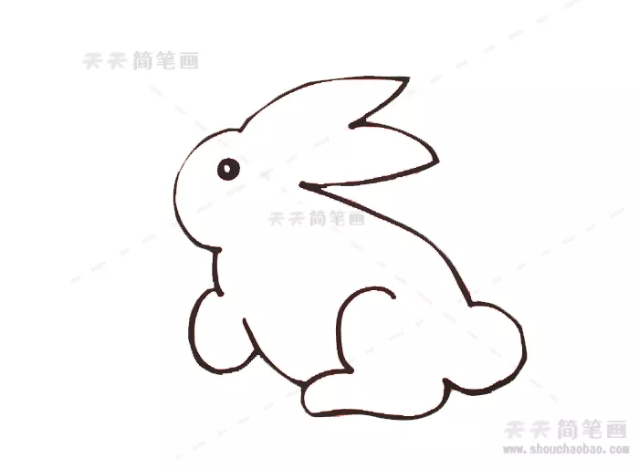 4、小兔子怎麼畫可愛:怎麼畫一隻小兔子又簡單又可愛