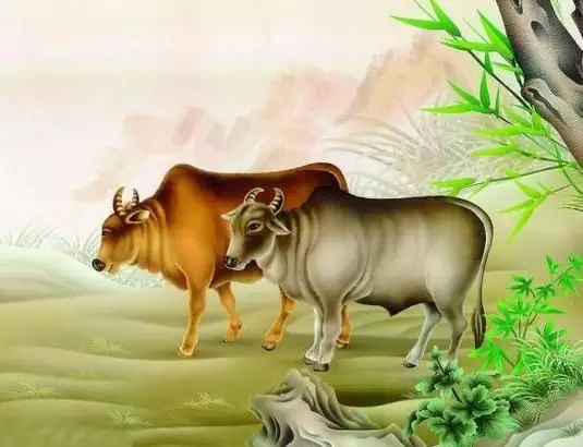 1、屬牛的與屬馬的人可婚配嗎:屬馬的和屬牛的婚姻可相配。