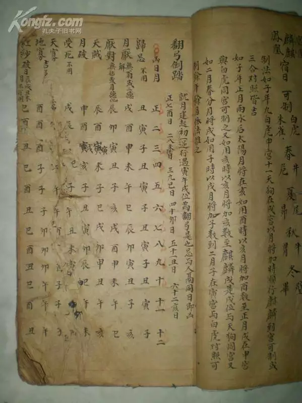人的屬相是以年來定照樣時間定：十二生肖的逐日屬相是什麼意思,