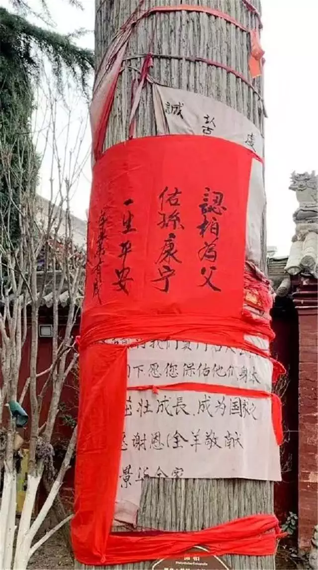6、算命的說我家三歲孩子是真命 讓認大樹當乾媽 親們這辦法能行通嗎 好害怕失去孩子