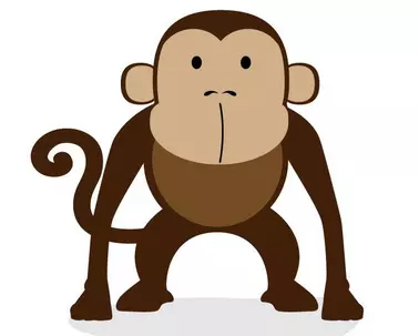 屬猴人犯小人的屬相：年屬猴人與什麼屬相做生意