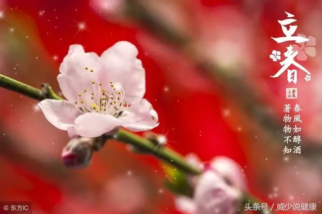 屬相的更替歷的正月月朔照樣節氣的立春。年2月3日出生的屬什麼。