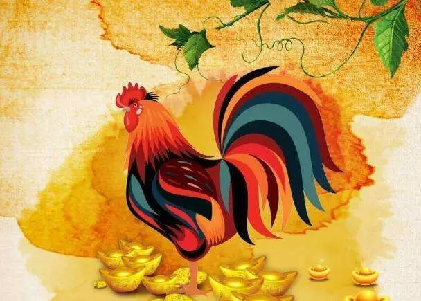 屬雞的人哪個屬相最準確：屬雞的和屬鼠的合作怎麼樣