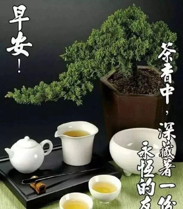 適合50歲女人的祝福語：五十歲女人生日祝福語四個字