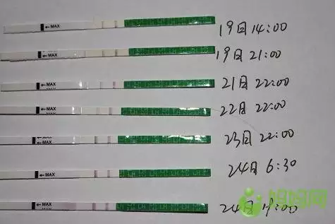 怎樣知道自己是否懷孕：怎樣判斷自己是否懷孕了？