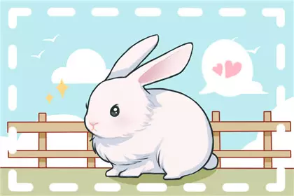 1、屬兔的做什麼生意最旺:屬兔的人做什麼生意好？