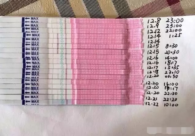 年備孕時間表：備孕多久能會懷孕？