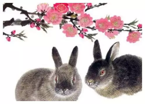 3、屬兔的娶親配:年屬兔的女性適合什麼屬相最配