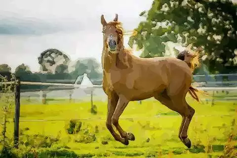 屬龍和屬馬的屬相生孩子好嗎：屬龍和屬馬的適合生什麼屬相的孩子