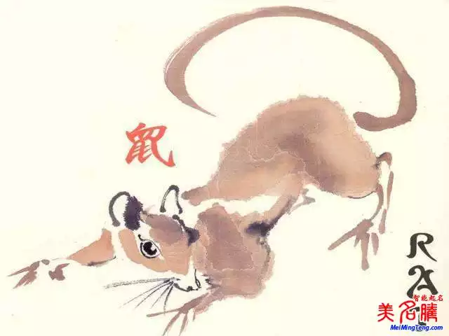2、火鼠命適合什麼屬相婚配:火命和火鼠之命人在一起合適嗎