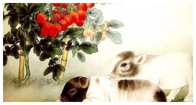 豬的貴人屬相是什麼生肖：年年的豬的貴人是哪一個啊屬相啊