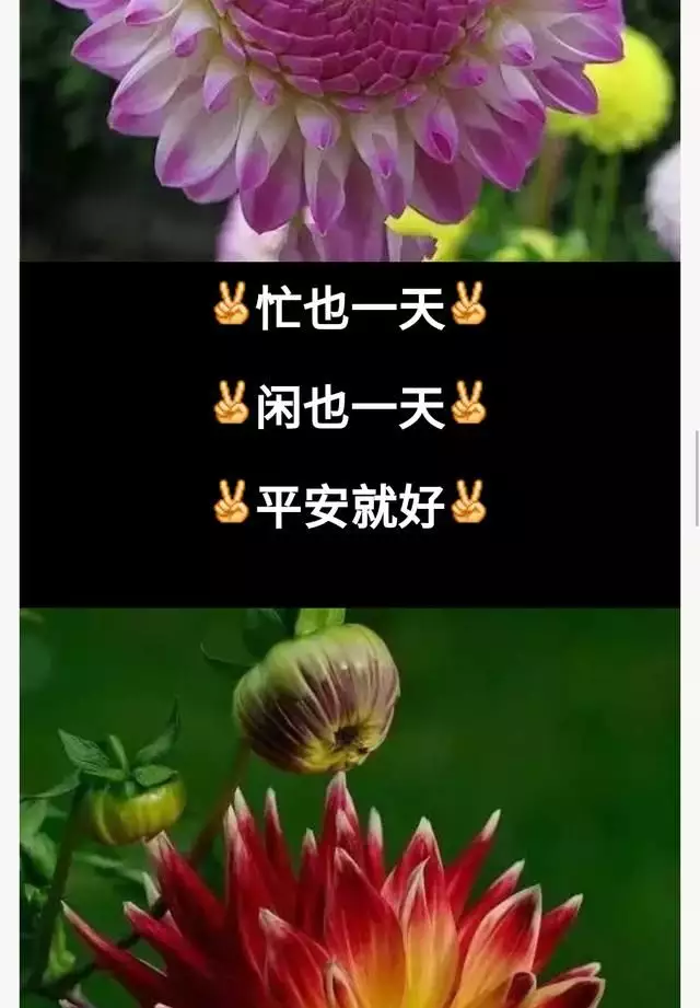 每個人的命運都是註定的嗎：人一生的命運真的已經註定嗎？