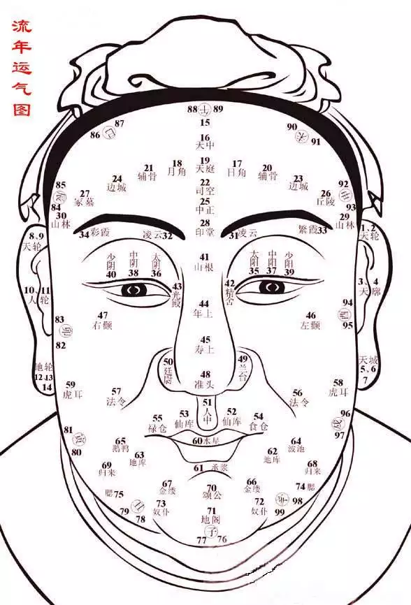 十二生肖哪個財運和命運最好：哪個生肖財運最好 最有財運的生肖排序
