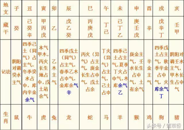 1、怎樣看懂四柱八字:請問四柱八字排盤怎麼看？