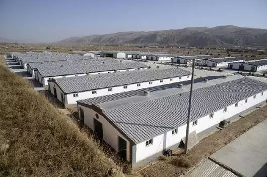 遷居什麼屬相不能養牛：遷居避開什麼屬相