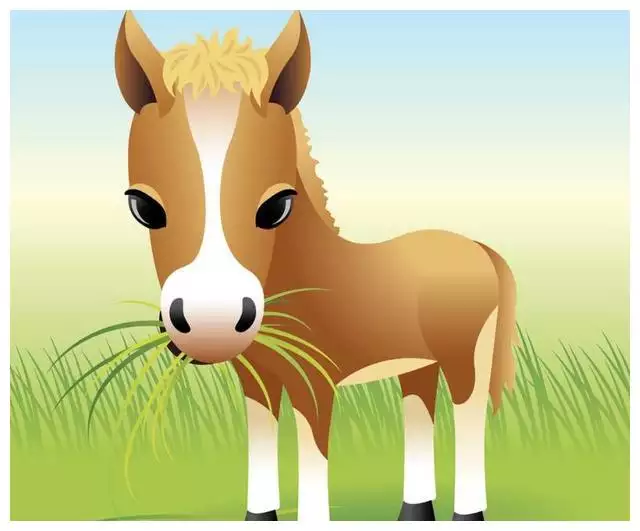 1、年的屬馬是百年難遇:年屬馬犯太歲佩戴什麼