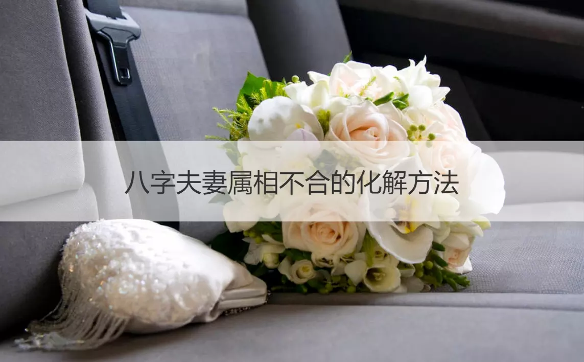屬相不合八字也一定不合嗎：屬相不合，八字不合就無緣，就不能在一起嗎