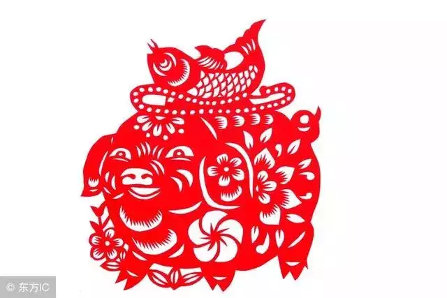 4、71年屬豬女人晚年命運:屬豬女人一生的命運婚姻？