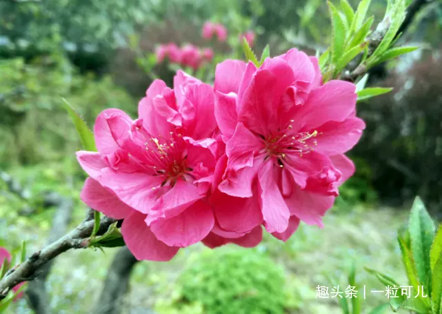 我是82年出生屬狗，大海水命，公司坐北向南，辦公室和財政定到哪個位置最佳，討教列位同夥協助指導