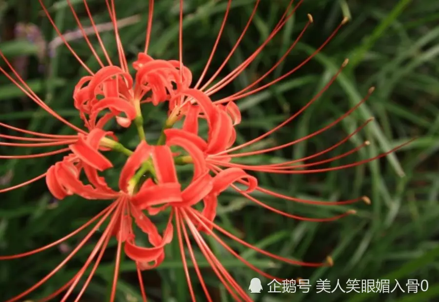 屬虎的財神爺什麼屬相：我和老公都是屬虎的,請什麼財神好