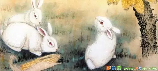 3、女鼠兔男鼠羊婚配怎樣:男屬羊女屬兔配嗎？屬羊和屬兔配嗎？