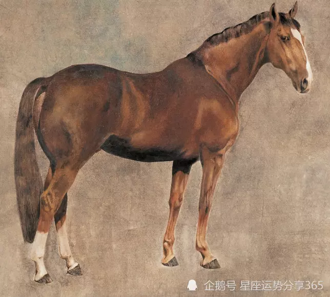 1、屬馬男和兔女婚配好嗎:男屬馬女屬兔能婚配嗎？